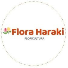 Flora Haraki Ilha Comprida SP