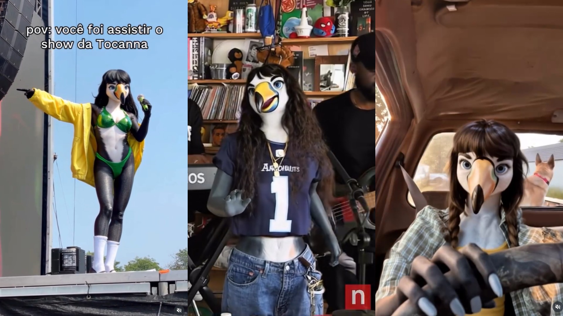 foto Not&iacute;cia Ilha Comprida