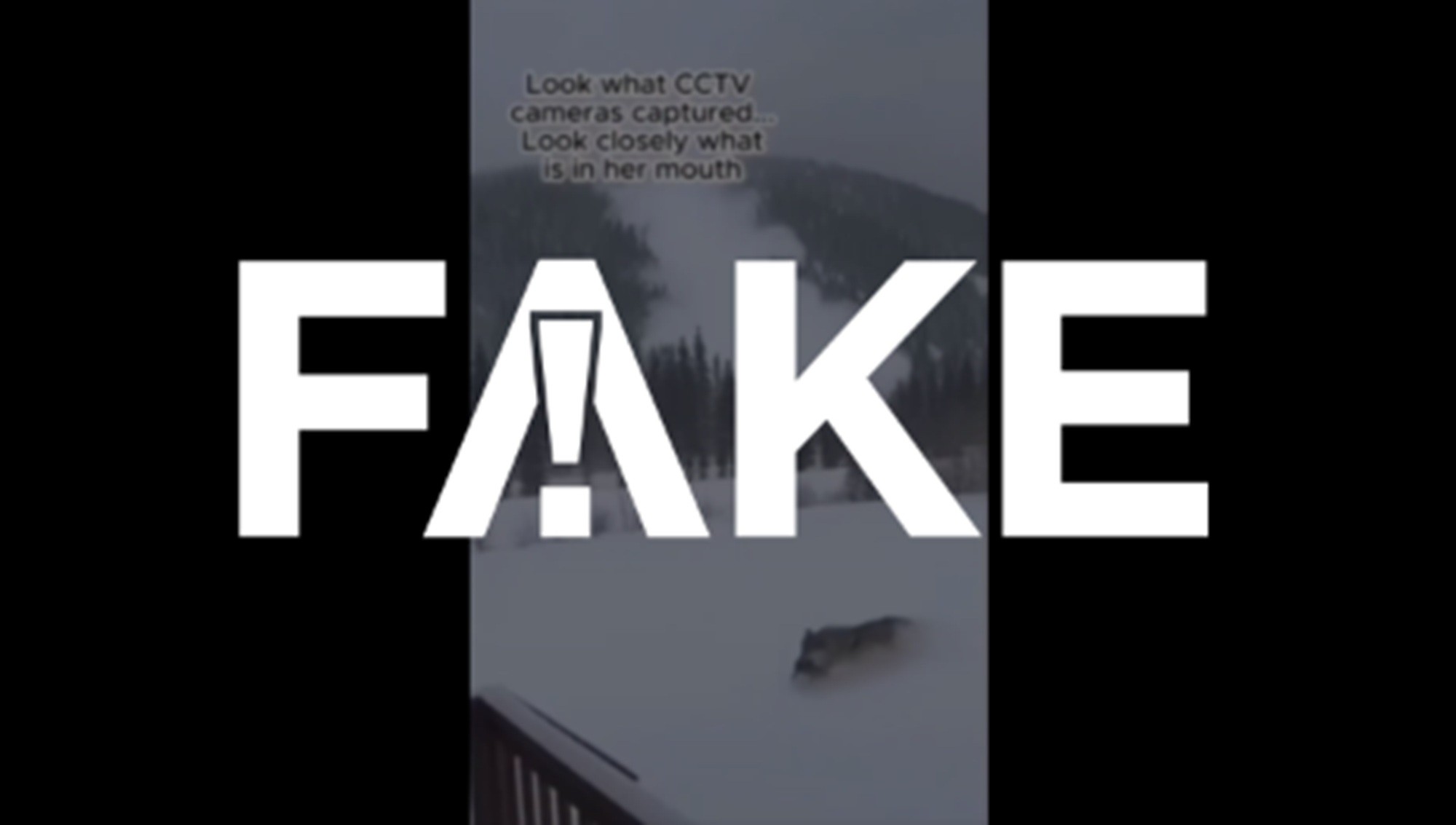 foto Not&iacute;cia Ilha Comprida